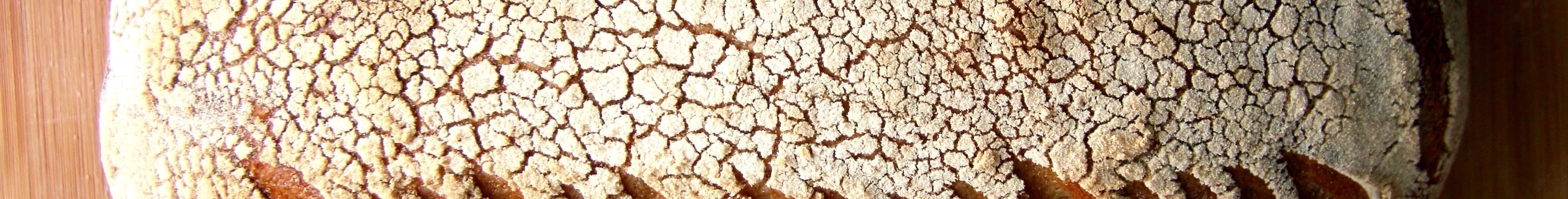 Banner Picture of Sourdough Bread