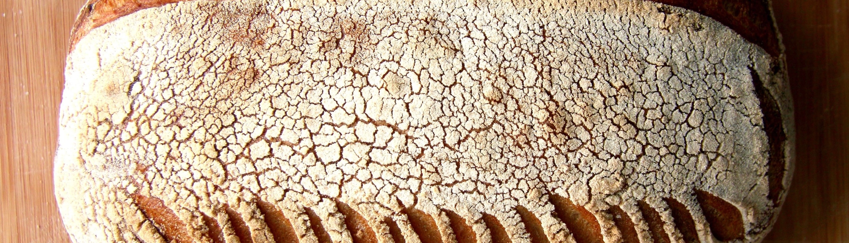 Banner Picture of Sourdough Bread